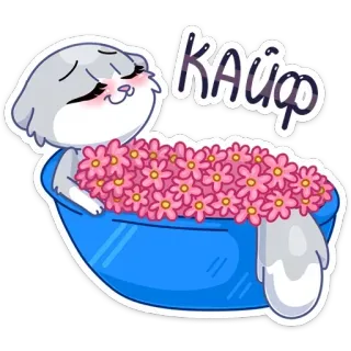 🤤 КАЙФ gato, flores, lindo, kawaii, feliz, relajante, кайф, alegría whatsapp sticker