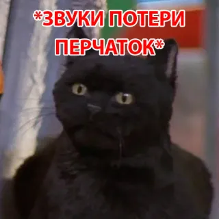 😩 *ЗВУКИ ПОТЕРИ ПЕРЧАТОК* 猫, 面白い, ミーム, ロシア telegram sticker