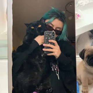 😎 selfie, woman, cat, pug, mirror, pet, sunglasses telegram sticker