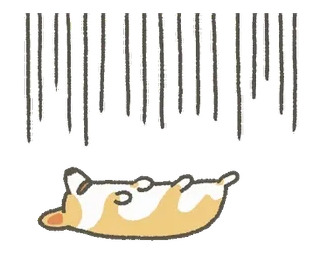 😰 hond, corgi, verdrietig, regen whatsapp sticker