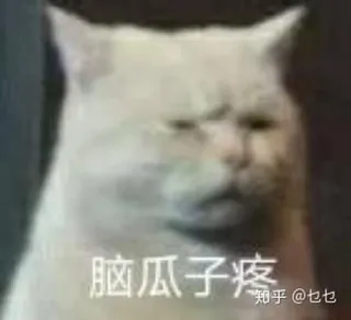 😢 脑瓜子疼 kucing, meme, lucu, sedih telegram sticker