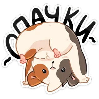 🙃 соачки モルモット, 動物, かわいい, ペット, げっ歯類, 面白い, イラスト telegram sticker