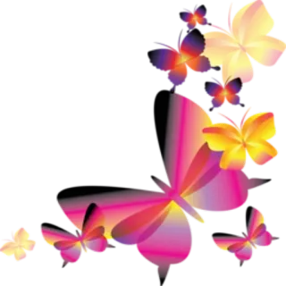 🦋 bướm, hoa, sặc sỡ, thiên nhiên, côn trùng telegram sticker