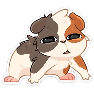 😒 モルモット, 動物, ペット, 漫画, かわいい, 面白い, ステッカー telegram sticker