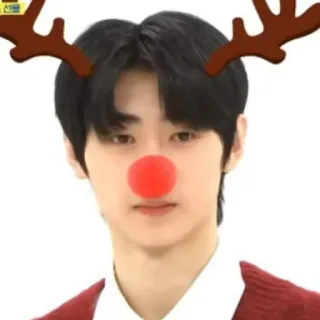 🤡 คริสต์มาส, กวางเรนเดียร์, ไอดอล, kpop, วันหยุด telegram sticker