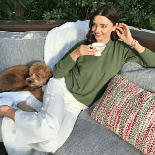 🥂 phụ nữ, chó, ghế sofa, trà, thư giãn telegram sticker