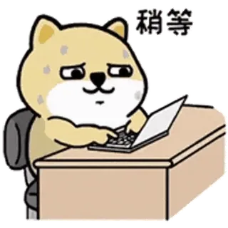 💬 稍等 perro, ordenador, esperando, dibujos animados, animal, oficina telegram sticker