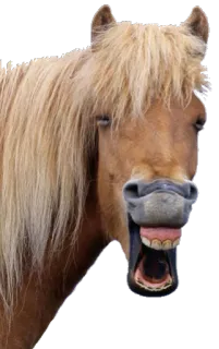 ANIMALOL telegram stickers