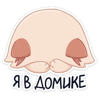🙈 Я В ДОМИКЕ fofo, animal, escondido, russo, texto, dentro de casa telegram sticker