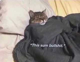 😴 This sum bullshit. Katze, Tier, Meme, lustig telegram sticker