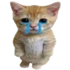 🐈