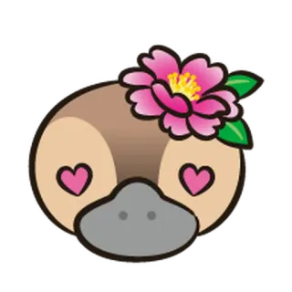 😍 platipus, binatang, lucu, bunga, cinta, kartun telegram sticker