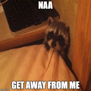 😱 NAA
GET AWAY FROM ME mapache, animal, meme, gracioso, mono whatsapp sticker
