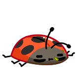 🤢 mariquita, insecto, rojo, puntos, lindo, dibujos animados whatsapp sticker