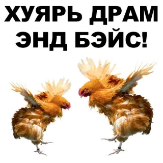🤘 ХУЯРЬ ДРАМ ЭНД БЭЙС! Huhn, Tanz, Schlagzeug, Bass, Musik telegram sticker