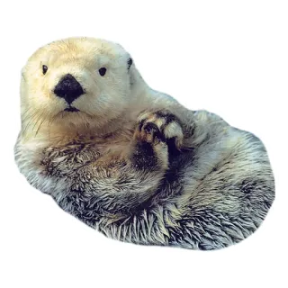 😏 수달, 동물, 포유류, 해달, 귀여운 telegram sticker