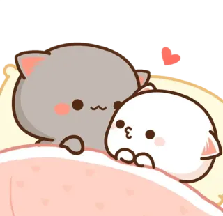 ✨ mèo, yêu, dễ thương, cặp đôi, động vật telegram sticker