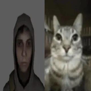 😐 Simon Henriksson Cry of Fear cry of fear, simon henriksson, cat, meme, video game, stare, horror, comparison telegram sticker