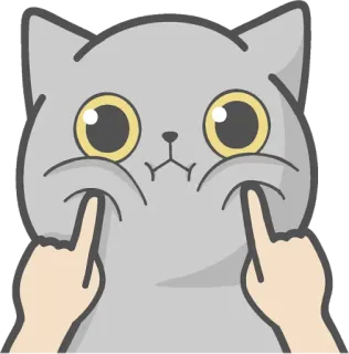😐 Katze, süß, Cartoon, Tier, Aufkleber, grau, Gesicht telegram sticker