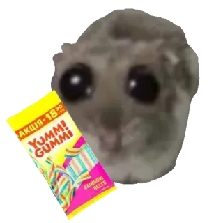 🍬 hedgehog АКЦІЯ-18.90 YUMM! GUMMI RAINBOW BELTS hedgehog, cute, meme, candy, gummy, hungry telegram sticker