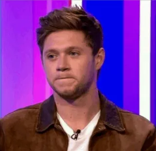 💫 Niall Horan 나일 호란, 가수, 유명인, 원디렉션, 팝 음악, 남성, 인물 사진 telegram sticker