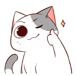 👍 cat, middle finger, cute, offensive, gesture, sticker telegram sticker