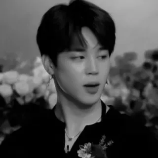 🖤 Jimin kpop, 지민, bts, 가수, 아이돌, 흑백 telegram sticker