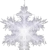 ❄️