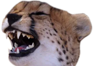 CheeStix 5000 telegram stickers
