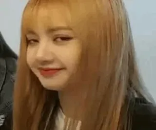 🥂 Lisa kpop, idol, kedipan, cewek, lisa, blackpink telegram sticker