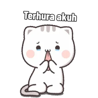 😄 Terhura akuh 고양이, 슬픈, 울음, 간청, 만화 telegram sticker