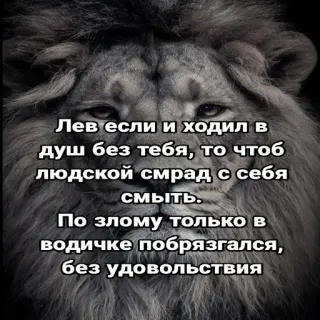 😔 Лев если и ходил в
душ без тебя, то чтоб
людской смрад с себя
смыть.
По злому только в
водичке побрязгался,
без удовольствия león, animal, texto, idioma ruso, cita telegram sticker