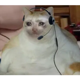 😭 kucing, menangis, gaming, headset, sedih, meme, hewan, peliharaan telegram sticker