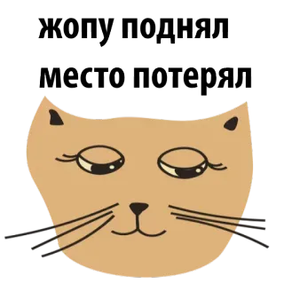 😏 мощу полнаю мостопотопаи gato, animal, fofo, adesivo, desenho animado, olhos telegram sticker