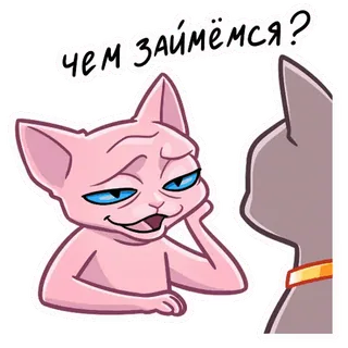 ❓ чем займёмся? kot, rosyjski, pytanie, sfinks whatsapp sticker