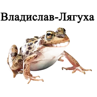 😱 Владислав Лягуха rana, animal, gracioso, meme telegram sticker