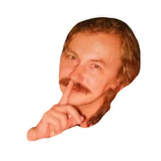 ☝ man, shush, finger to lips, portrait, silence whatsapp sticker