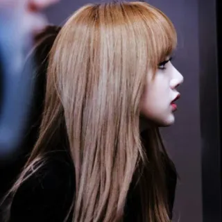 🎶 Lisa リサ, K-Pop, アイドル, プロフィール, 女性, 歌手 telegram sticker