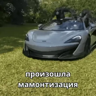 😈 произошла мамонтизация voiture, gorille, mammouthisation, animal, voiture de luxe whatsapp sticker