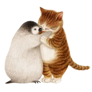 ❤️ 고양이, 펭귄, 우정, 귀여운, 동물, 포옹 telegram sticker