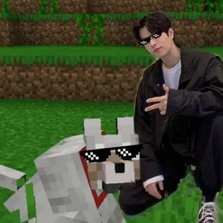 ☀️ Minecraft 마인크래프트, 강아지, 선글라스, 밈, 게임 telegram sticker