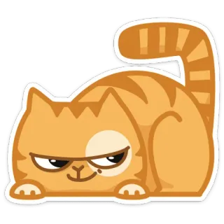 😏 chat, orange, mignon, animal, animal de compagnie, félin telegram sticker