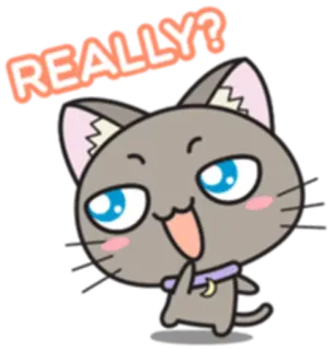 😏 REALLY? cat, cartoon, question, really, cute, animal, expression whatsapp sticker