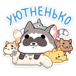 ☺️ УЮТНЕНЬКО słodki, szop pracz, koty, zwierzęta, naklejka, kreskówka, puszysty whatsapp sticker