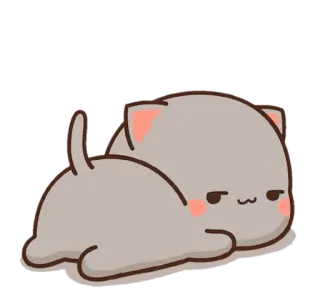 😒 Katze, süß, Cartoon, Tier, faul telegram sticker