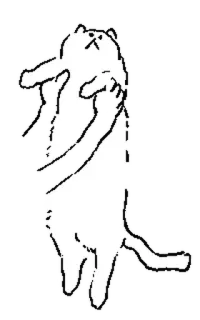 🤍 кот, рисунок, белый кот, эскиз, смешной telegram sticker