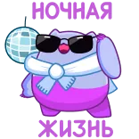 😎 telegram sticker