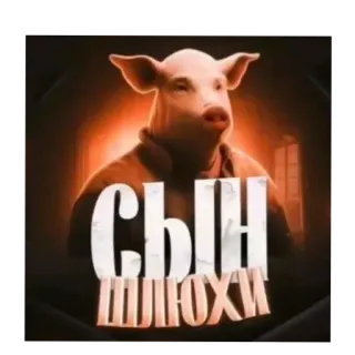 🐷 СЫН ШЛЮХИ cochon, insulte, juron, grossier, russe telegram sticker