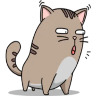 😮 gatto, animale, adesivo, cartone animato, divertente, carino whatsapp sticker