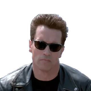@STIKERFORALL TERMINATOR T-800 telegram stickers